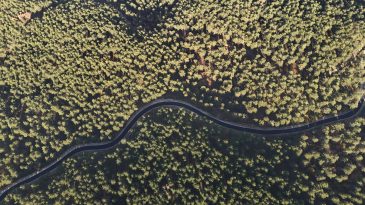 BABALAR DEDİĞİNİ YAPAR…!