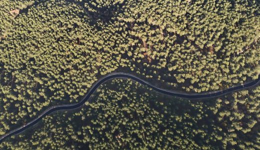 BABALAR DEDİĞİNİ YAPAR…!