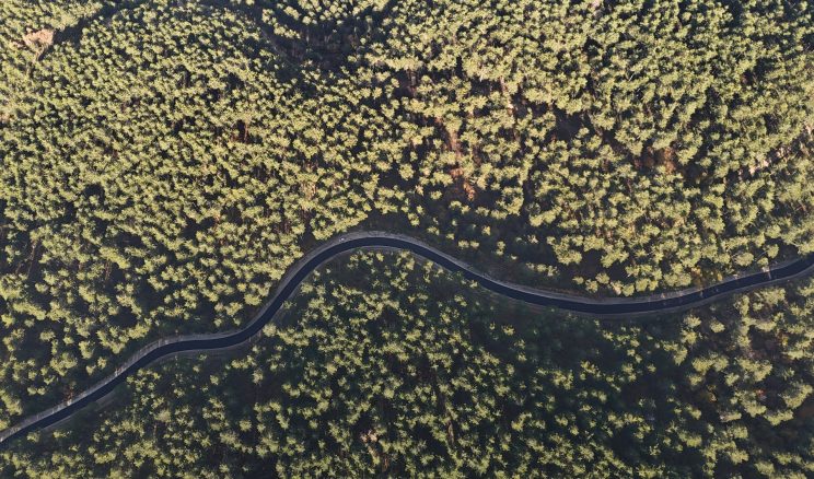 BABALAR DEDİĞİNİ YAPAR…!