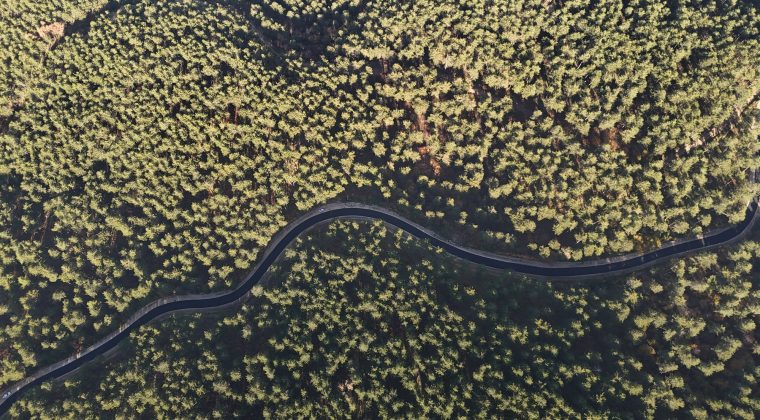 BABALAR DEDİĞİNİ YAPAR…!