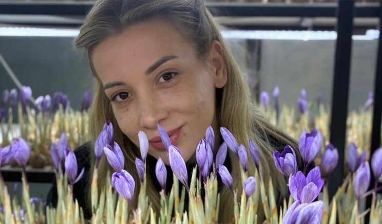 UZAY TARIMI YÖNTEMİYLE SAFRAN ÜRETİYOR