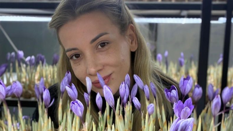 UZAY TARIMI YÖNTEMİYLE SAFRAN ÜRETİYOR