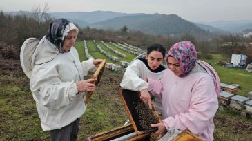 ANNE VE KIZLARI KESTANE BALI ÜRETİYOR