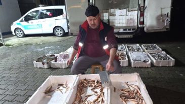 YASA DIŞI AVLANMAYA AF YOK