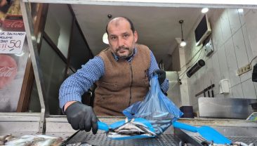 HAMSİ YERİNİ İSTAVRİTE BIRAKTI