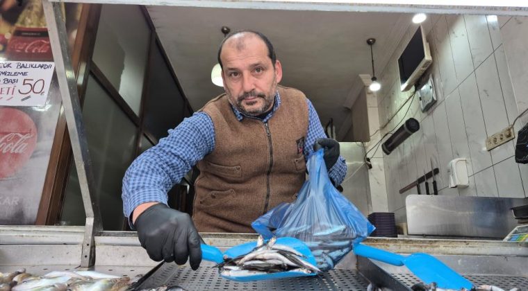 HAMSİ YERİNİ İSTAVRİTE BIRAKTI