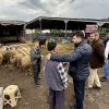 ŞAHİN VE ÇETİNKAYA KURBAN PAZARINDA