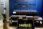 DUDAK UÇUKLATAN RAKAM; 85 BİN HAP YAKALANDI