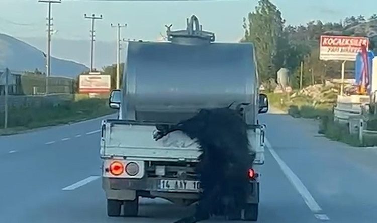 BU HAREKETİN CEZASI 31 BİN LİRA OLDU!