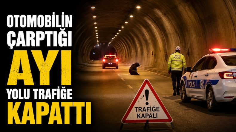NEFES KESEN AYI OPERASYONU!