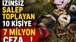 DOKUNANIN ELİ DE YANIYOR CEBİ DE…!