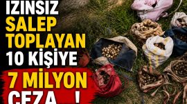 DOKUNANIN ELİ DE YANIYOR CEBİ DE…!