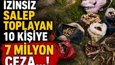 DOKUNANIN ELİ DE YANIYOR CEBİ DE…!