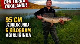 GÖRENLER GÖZLERİNE İNANAMADI!