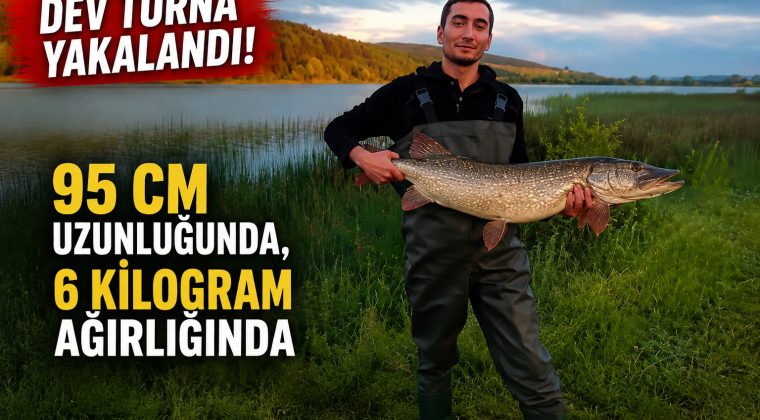GÖRENLER GÖZLERİNE İNANAMADI!