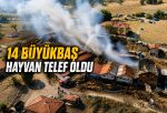 SAMANLIK YANGINI AHIRLARA SIÇRADI