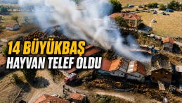 SAMANLIK YANGINI AHIRLARA SIÇRADI