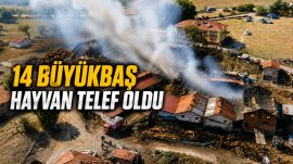 SAMANLIK YANGINI AHIRLARA SIÇRADI