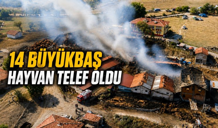 SAMANLIK YANGINI AHIRLARA SIÇRADI