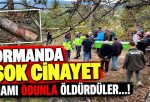 ORMANDA İMAM CİNAYETİ…!