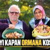 KASTAMONU’DA MANTAR BEREKETİ
