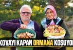 KASTAMONU’DA MANTAR BEREKETİ