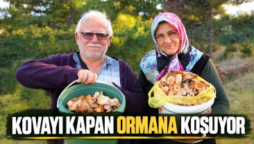 KASTAMONU’DA MANTAR BEREKETİ