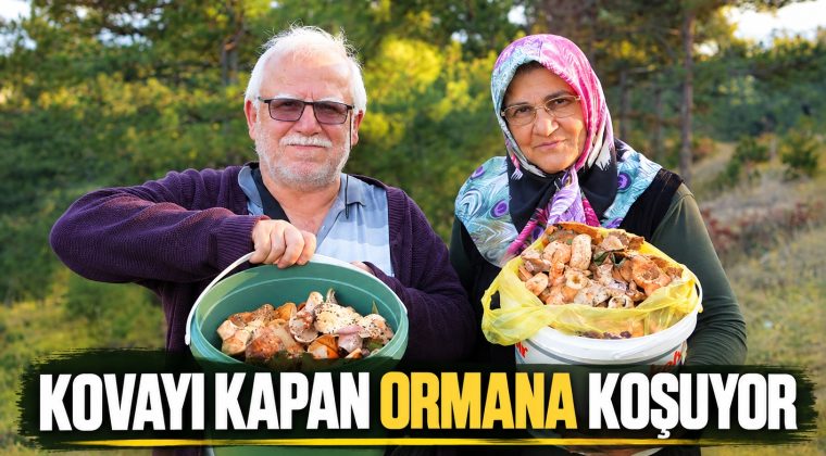 KASTAMONU’DA MANTAR BEREKETİ